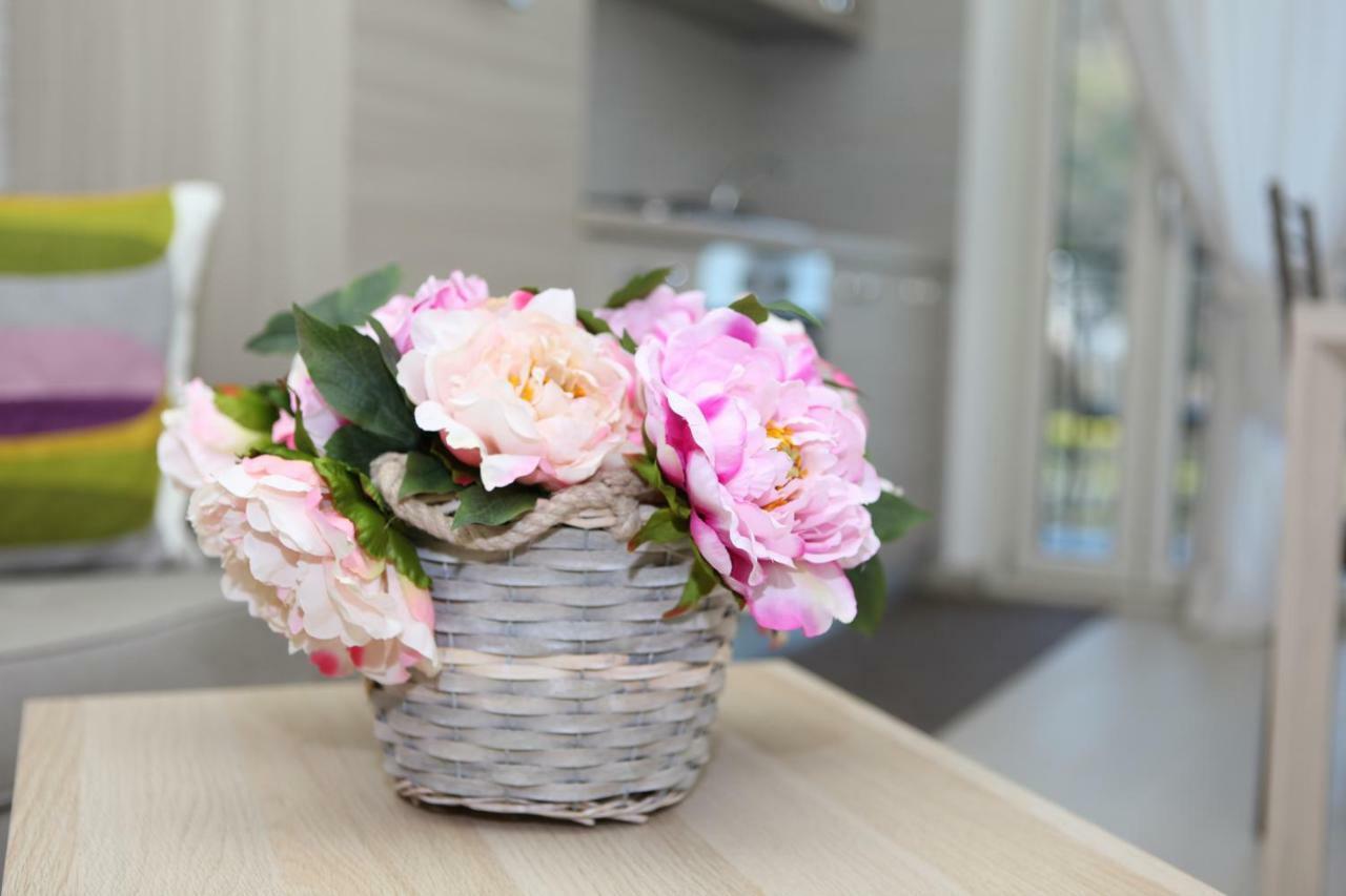 Rosy House - Hospitality Apartment Pimonte Ngoại thất bức ảnh